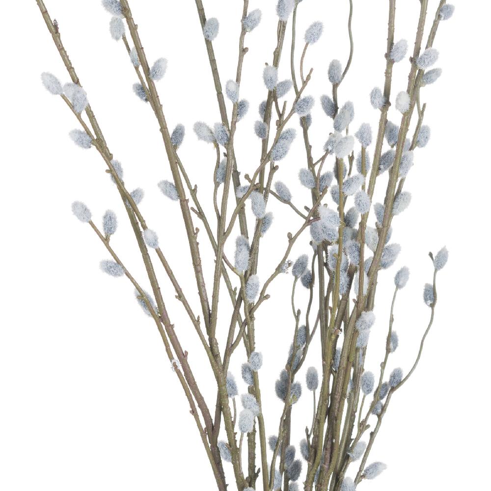 Hill Interiors Pussy Willow Branch