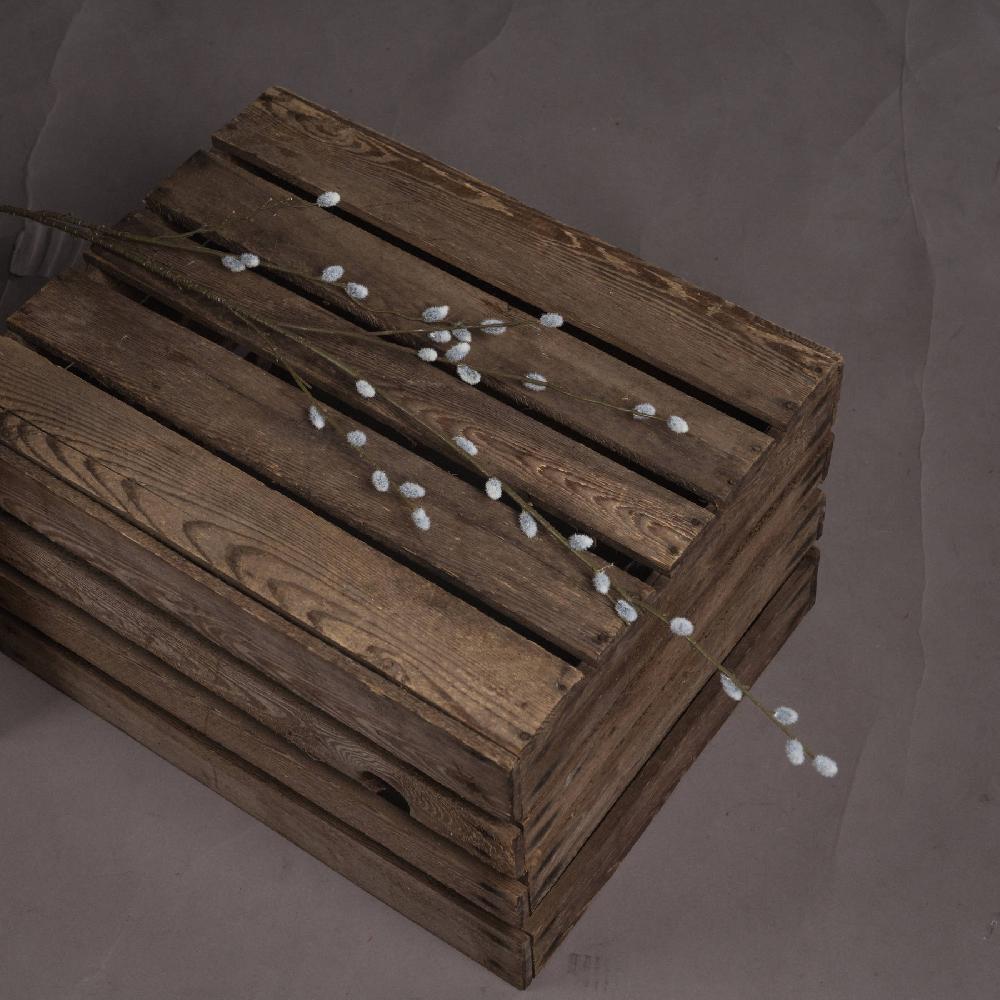 hill interiors Pussy Willow Branch