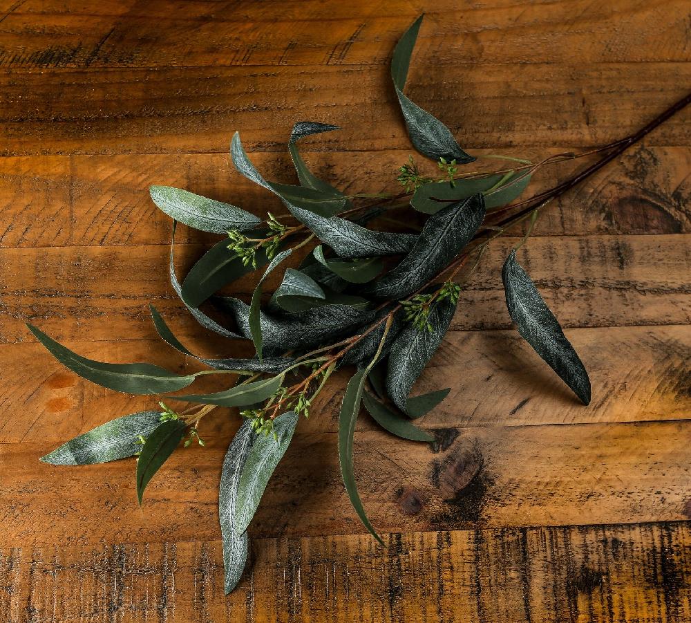 hill interiors Seeded Eucalyptus Spray