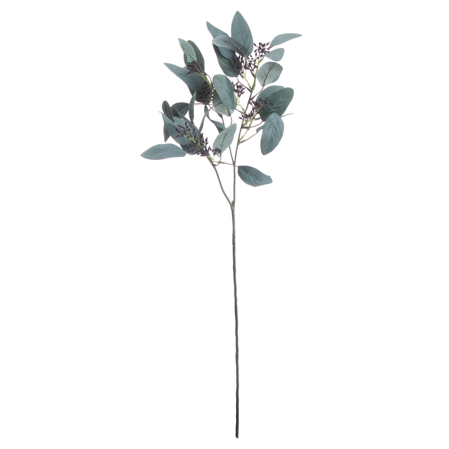Hill Interiors Seeded Eucalyptus Stem