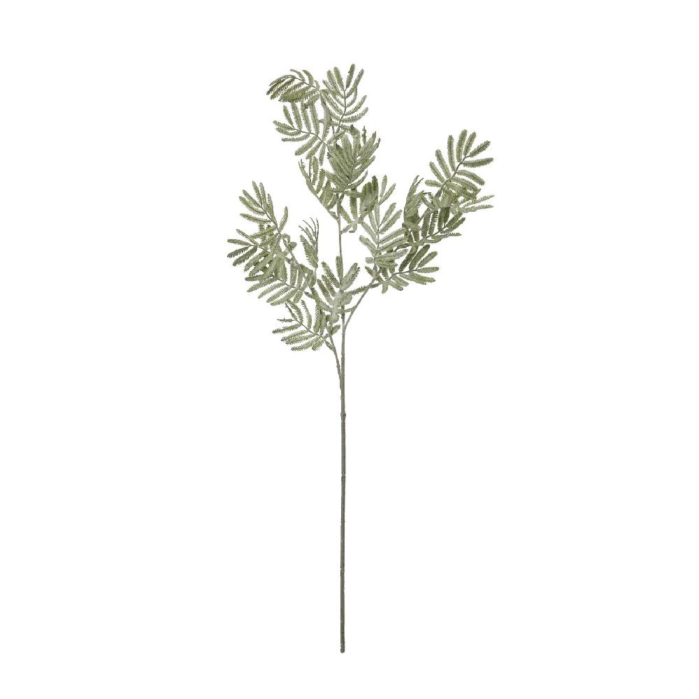 Hill Interiors Silver Wattle Leaf