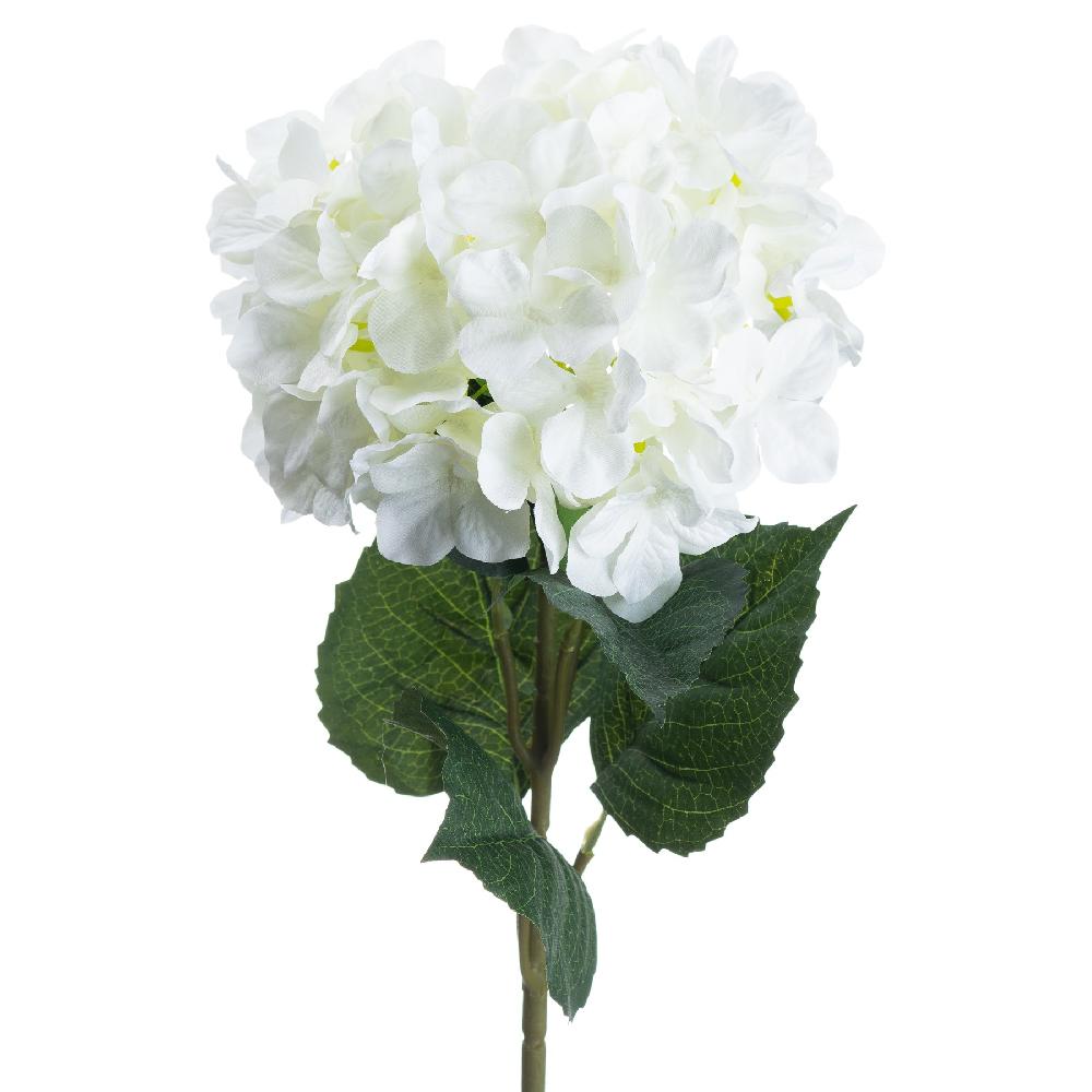 hill interiors Single White Hydrangea