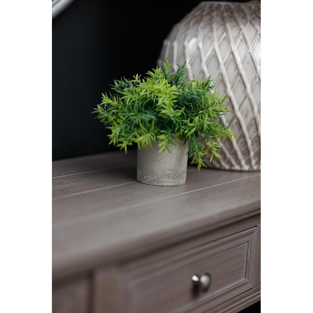 Hill Interiors Small Bamboo Plant In Grey Pot