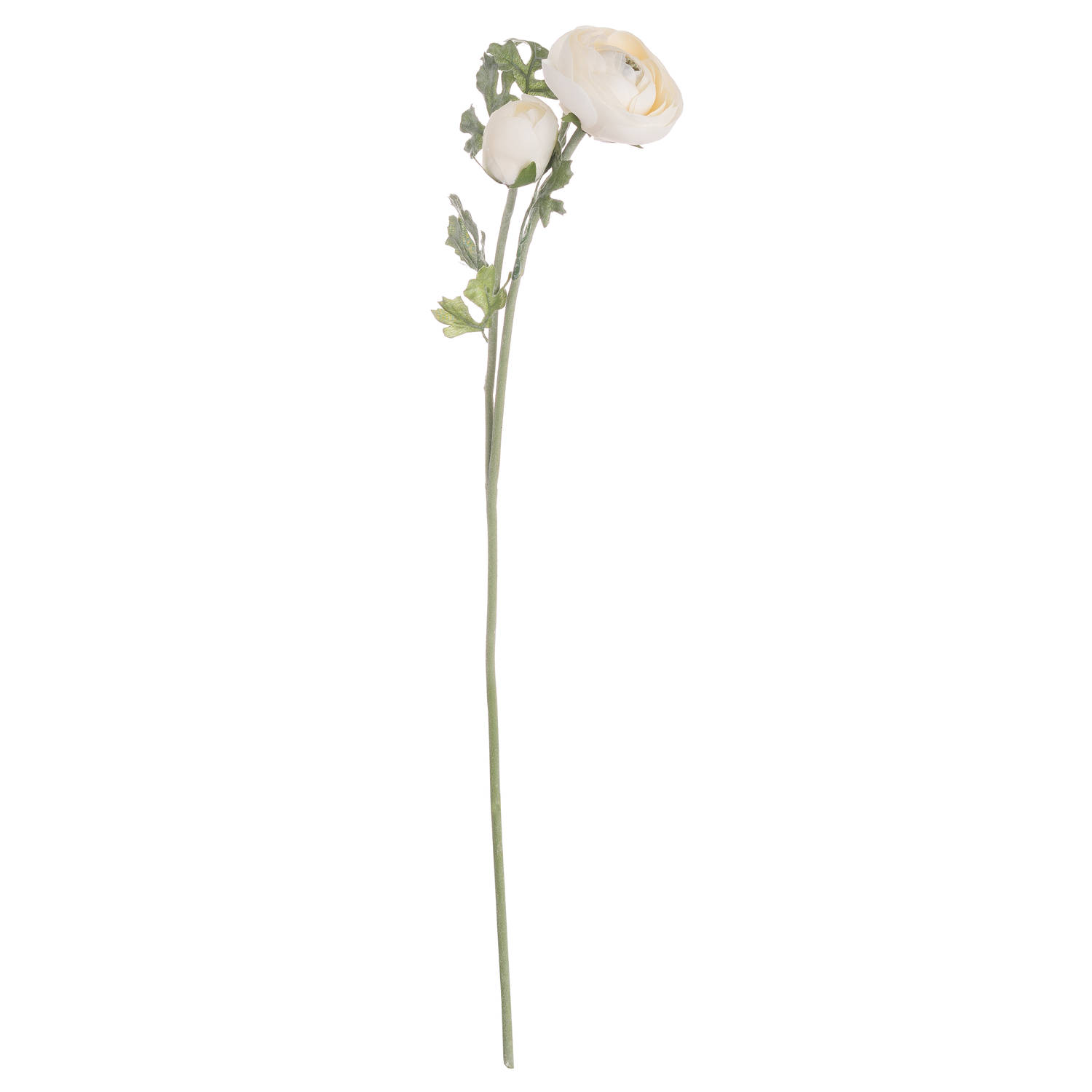 Hill Interiors Soft Cream Ranunculus