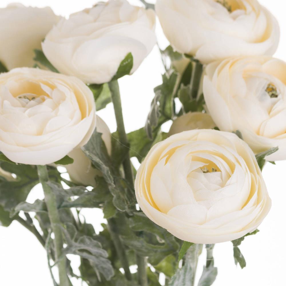 hill interiors Soft Cream Ranunculus