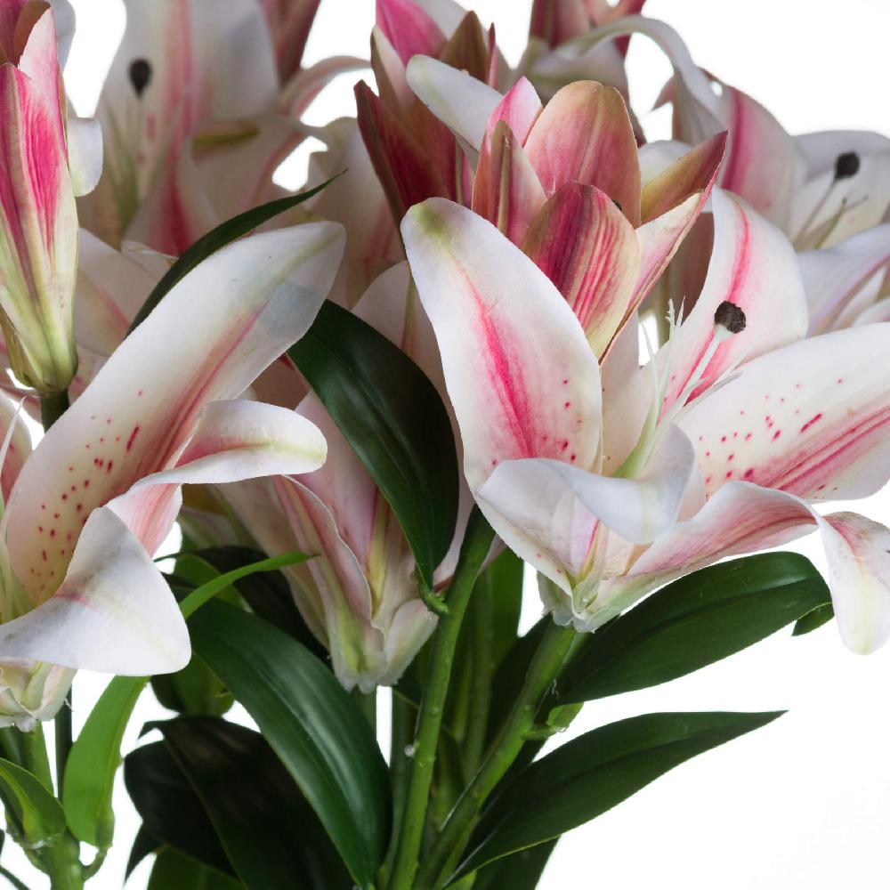 Hill Interiors Stargazer Lily