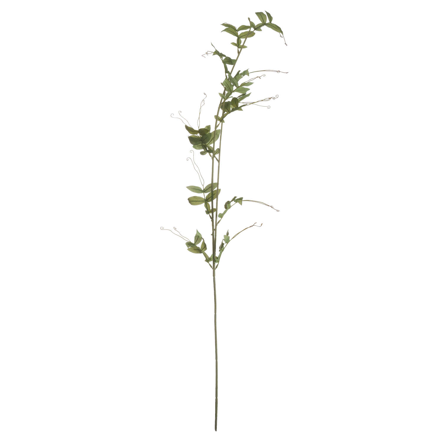 Hill Interiors Sweet Pea Trail