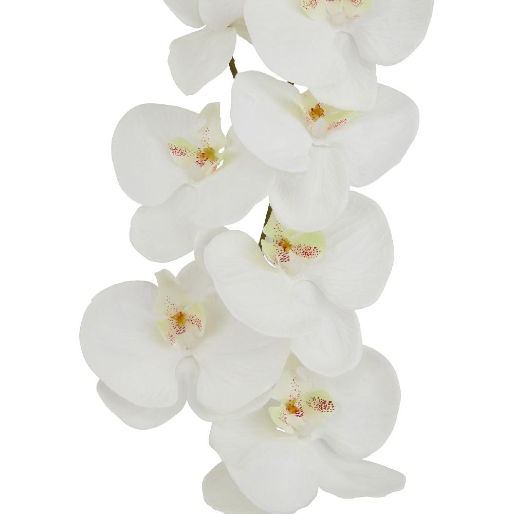 hill interiors Tall White Butterfly Orchid Stem