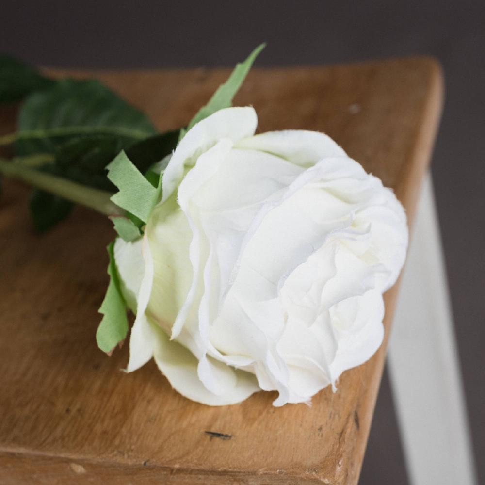Hill Interiors Traditional White Rose