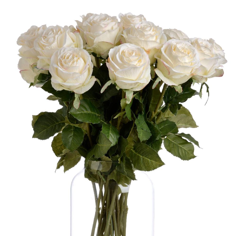 Hill Interiors Traditional White Rose