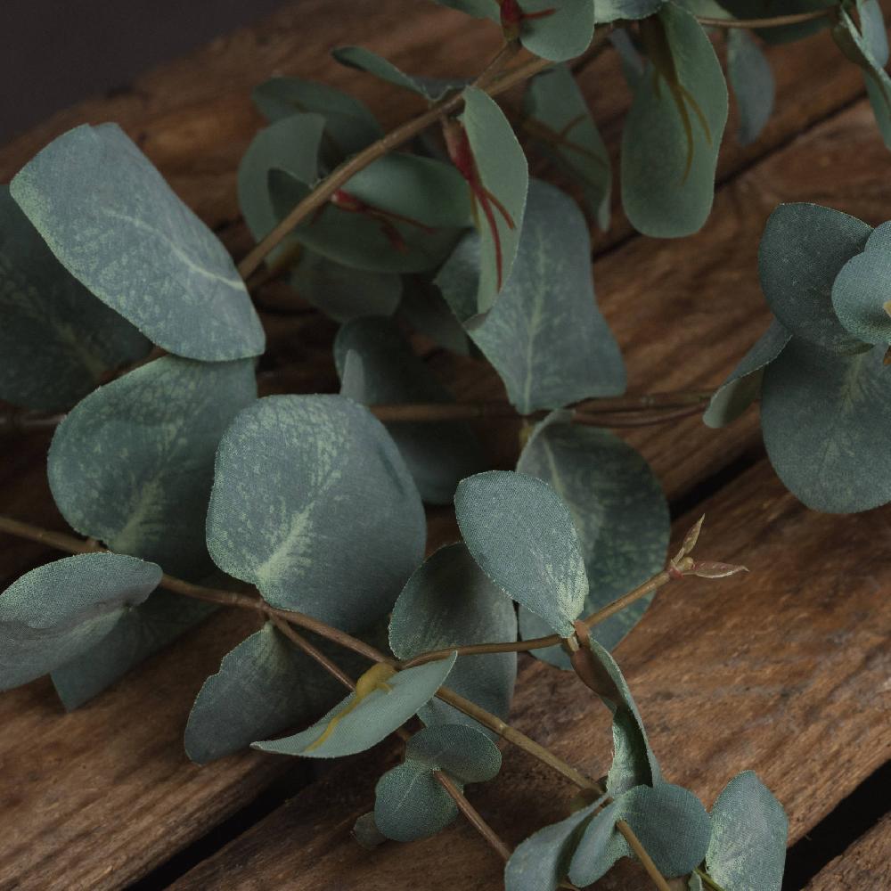 Hill Interiors Variegated Eucalyptus