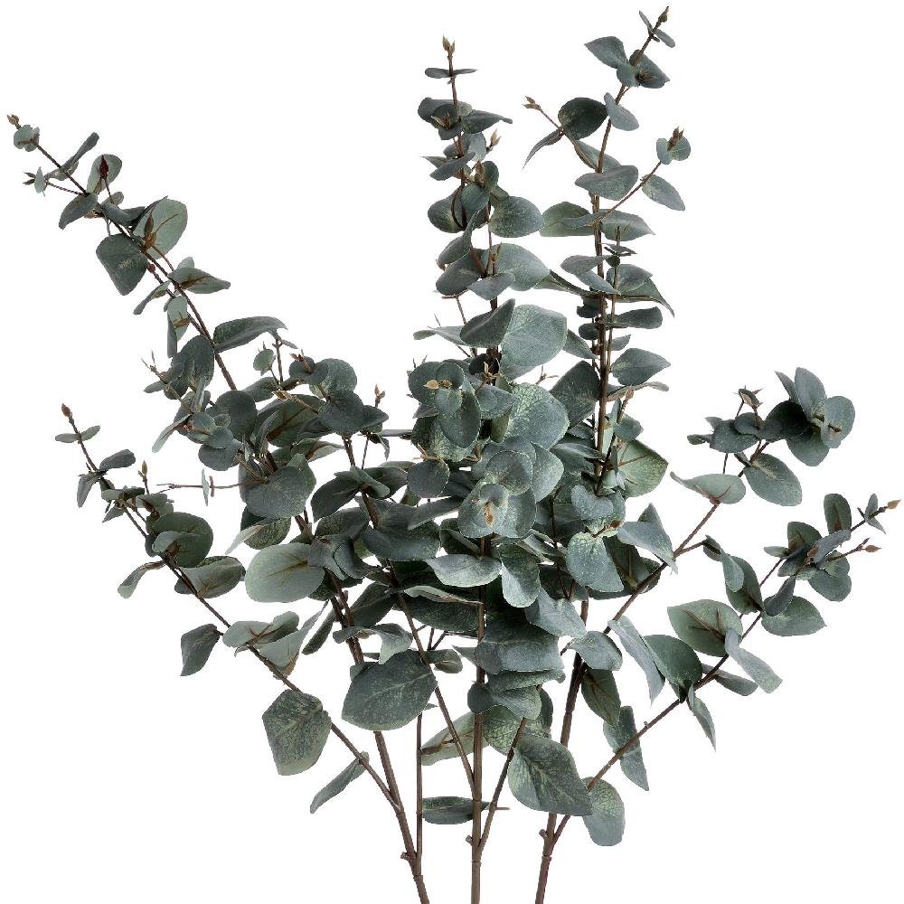 Hill Interiors Variegated Eucalyptus