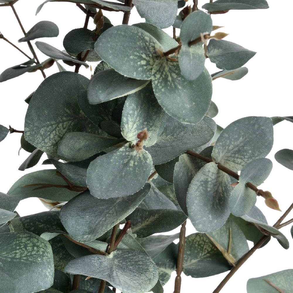Hill Interiors Variegated Eucalyptus