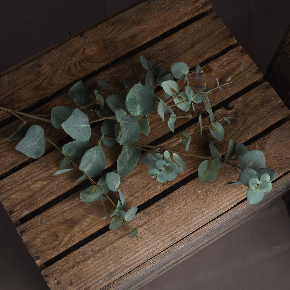 hill interiors Variegated Eucalyptus
