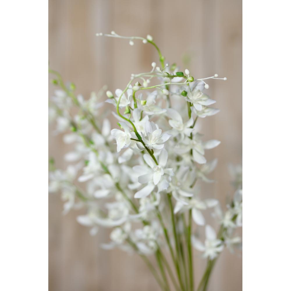 Hill Interiors White Cymbidium Spray