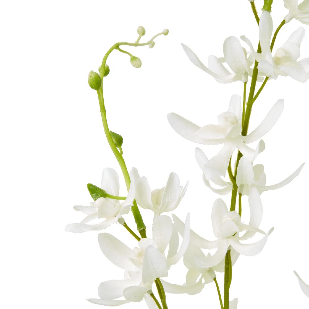 hill interiors White Cymbidium Spray