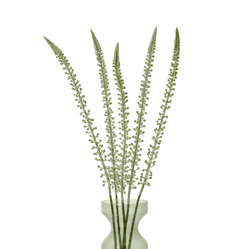 Hill Interiors White Eremurus Stem