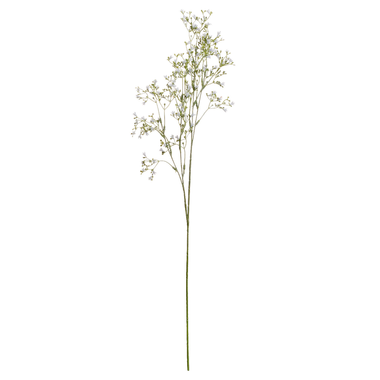 hill interiors White Gypsophila Spray
