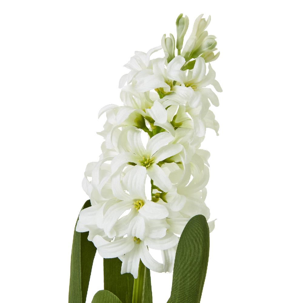 hill interiors White Hyacinth Stem