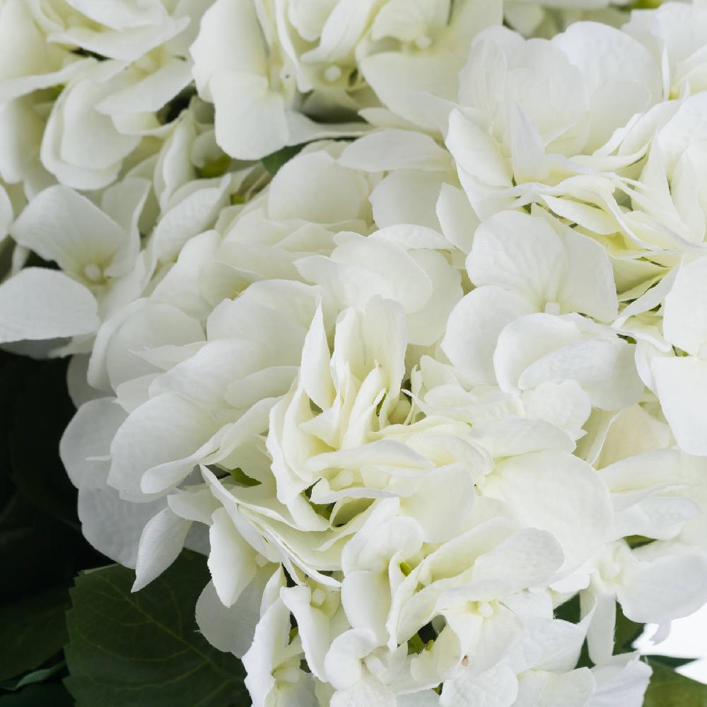 Hill Interiors White Hydrangea Bouquet