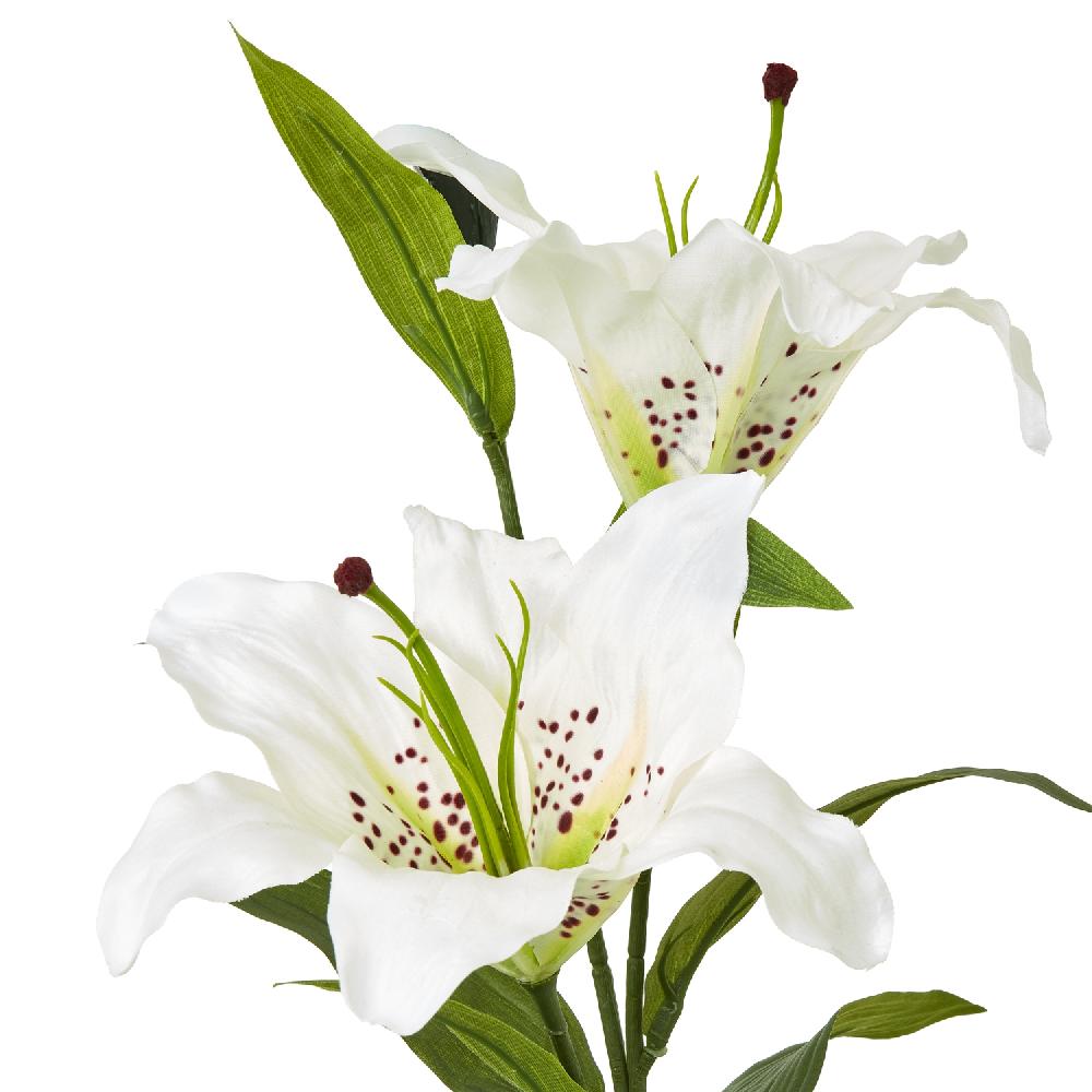 hill interiors White Madonna Lily Spray