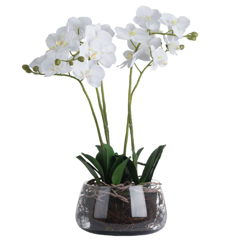hill interiors White Orchid In Glass Pot