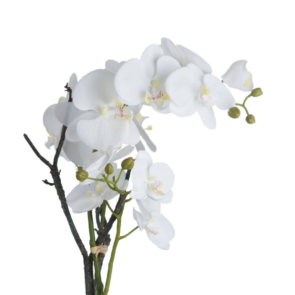 Hill Interiors White Orchid In Stone Pot