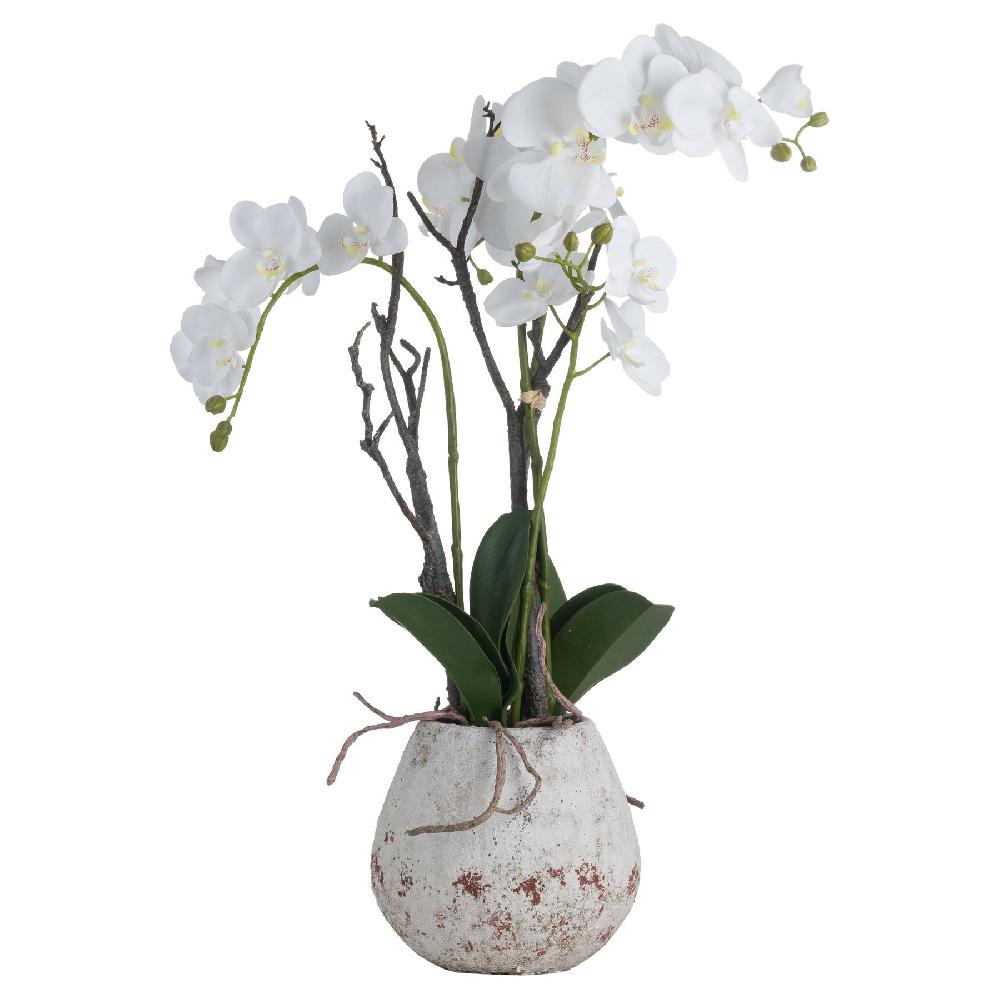 hill interiors White Orchid In Stone Pot