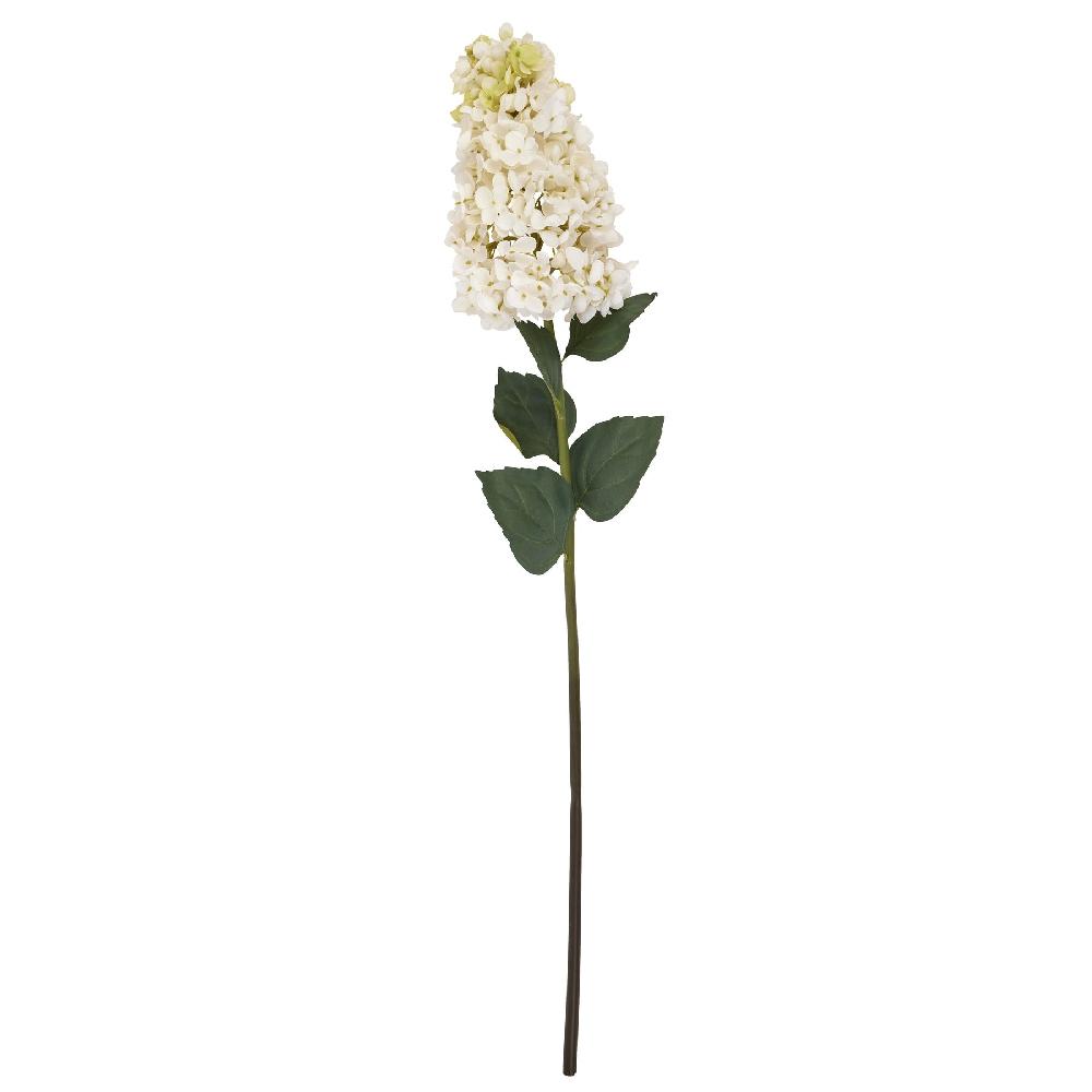 Hill Interiors White Spear Hydrangea