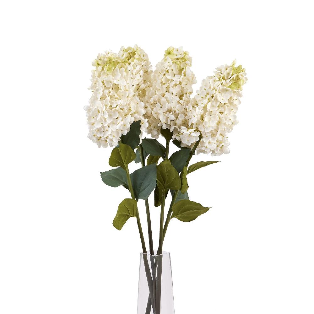 Hill Interiors White Spear Hydrangea