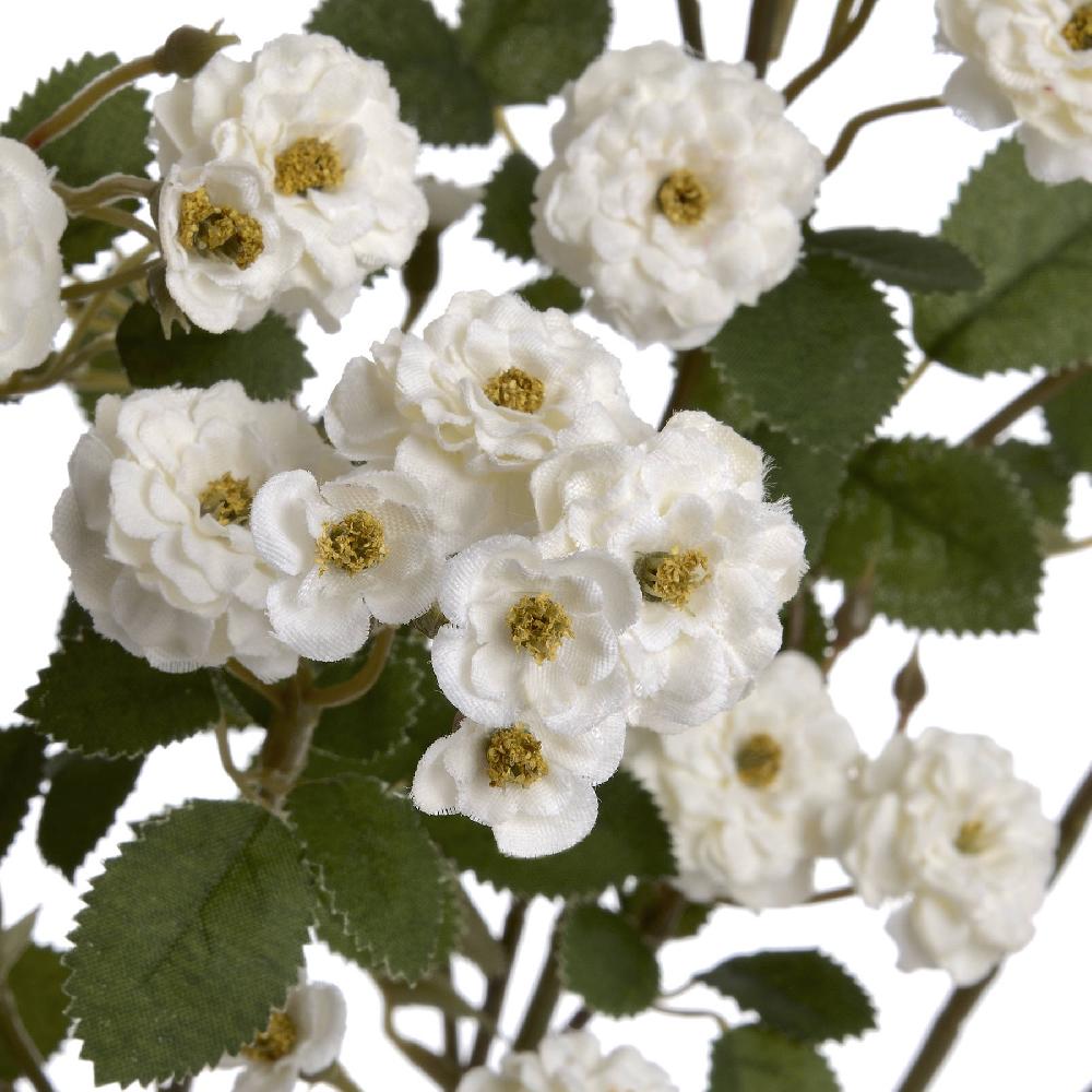 Hill Interiors White Wild Meadow Rose