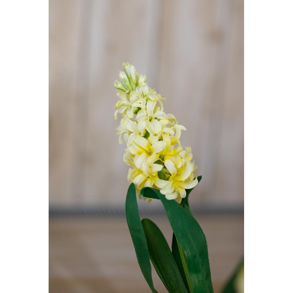 Hill Interiors Yellow Hyacinth Stem