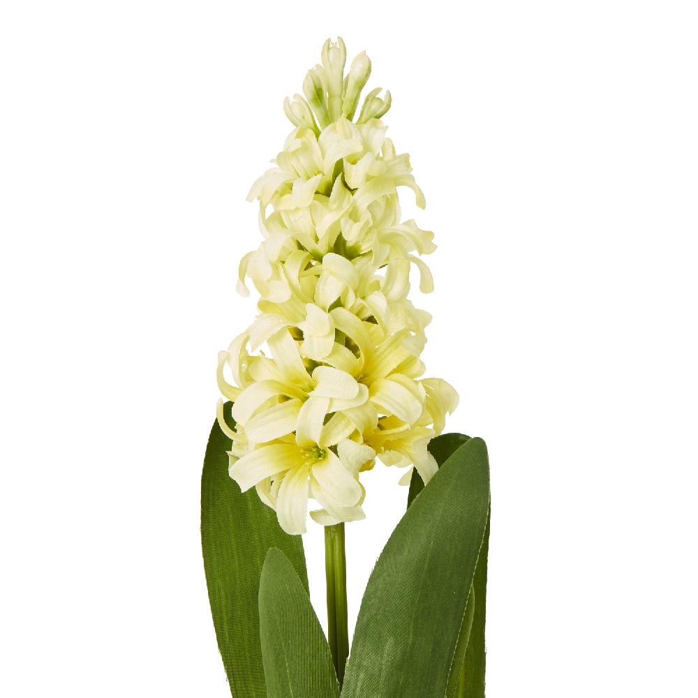 hill interiors Yellow Hyacinth Stem