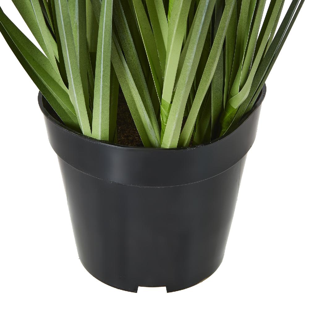 Hill Interiors Large Purple Agapanthus Plant In Pot