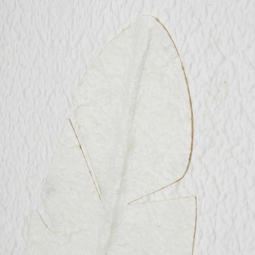 Hill Interiors Large Quill White Feather Art Mounted In Beaded Frame