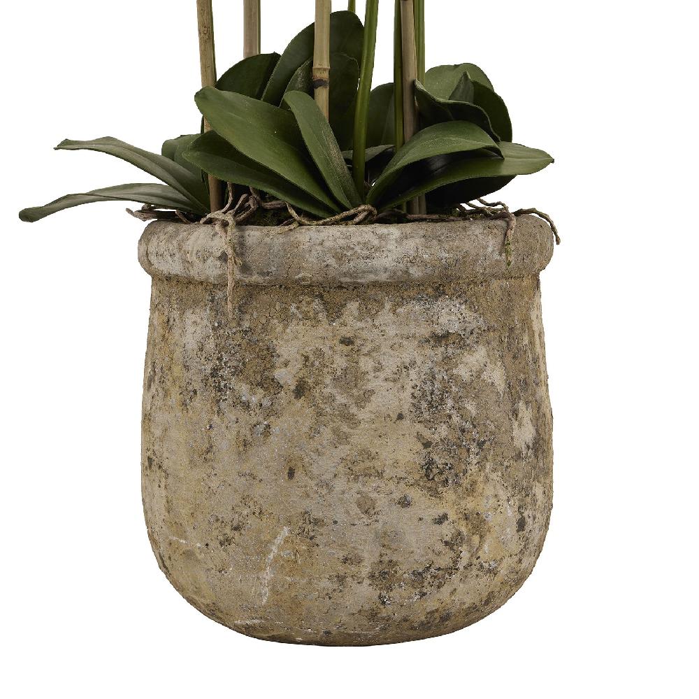 Hill Interiors Large White Orchid In Antique Stone Pot