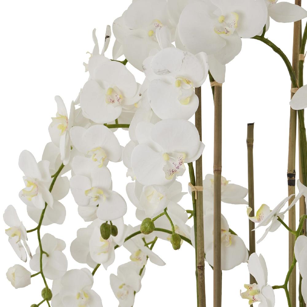 hill interiors Large White Orchid In Antique Stone Pot