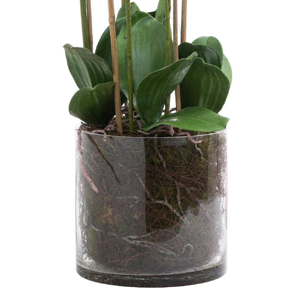 Hill Interiors Large White Tall Orchid In Glass Pot