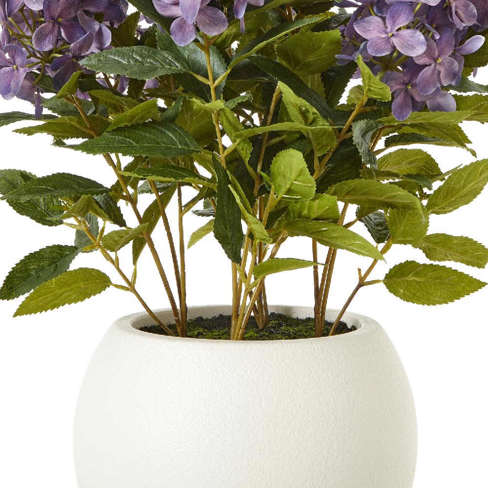 Hill Interiors Medium Purple Hydrangea Plant In Pot