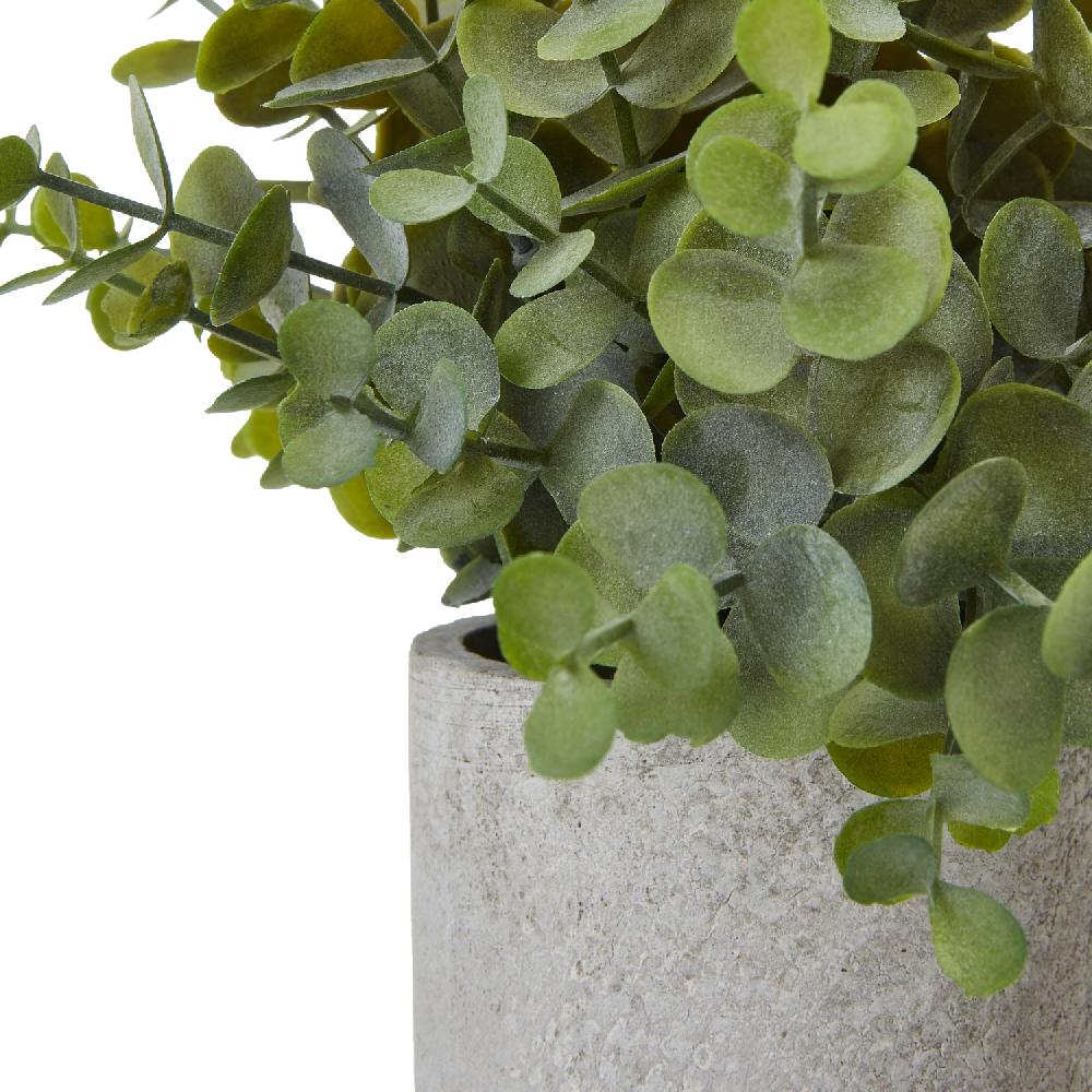 Hill Interiors Small Button Eucalyptus Plant In Grey Pot