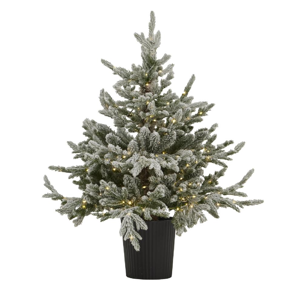 hill interiors Snowy Forest Fir Pre-Lit Led 300L Christmas Tree In Pot