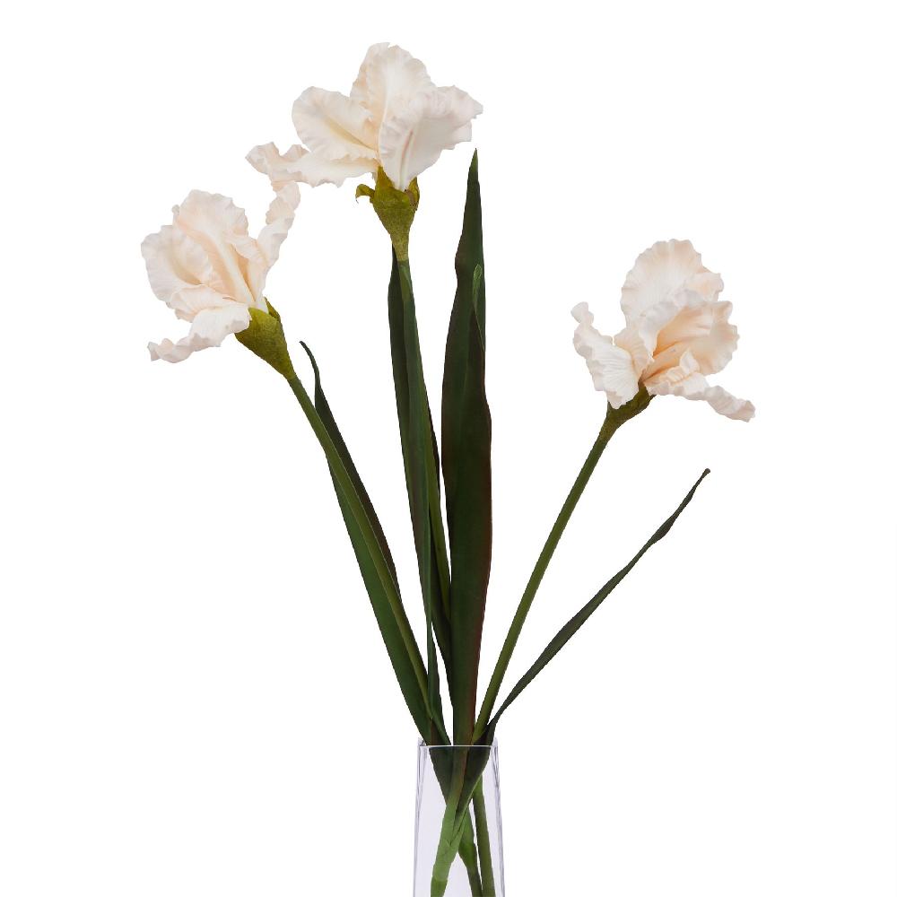 Hill Interiors The Natural Garden Collection Pale Apricot Fringed Iris