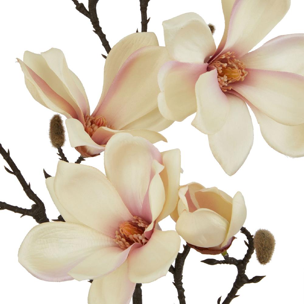 hill interiors The Natural Garden Collection Pale Apricot Magnolia Stem