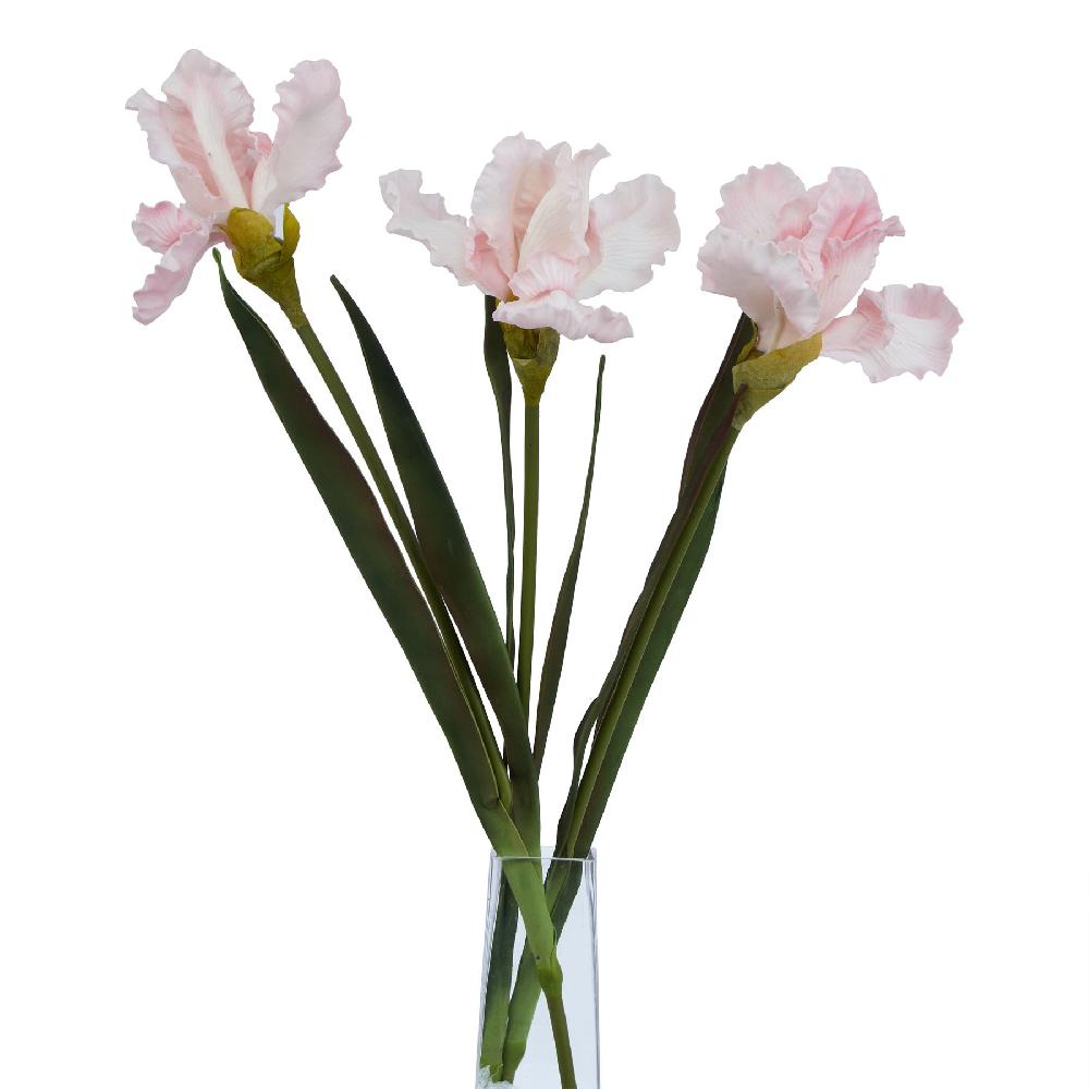 Hill Interiors The Natural Garden Collection Pale Pink Fringed Iris