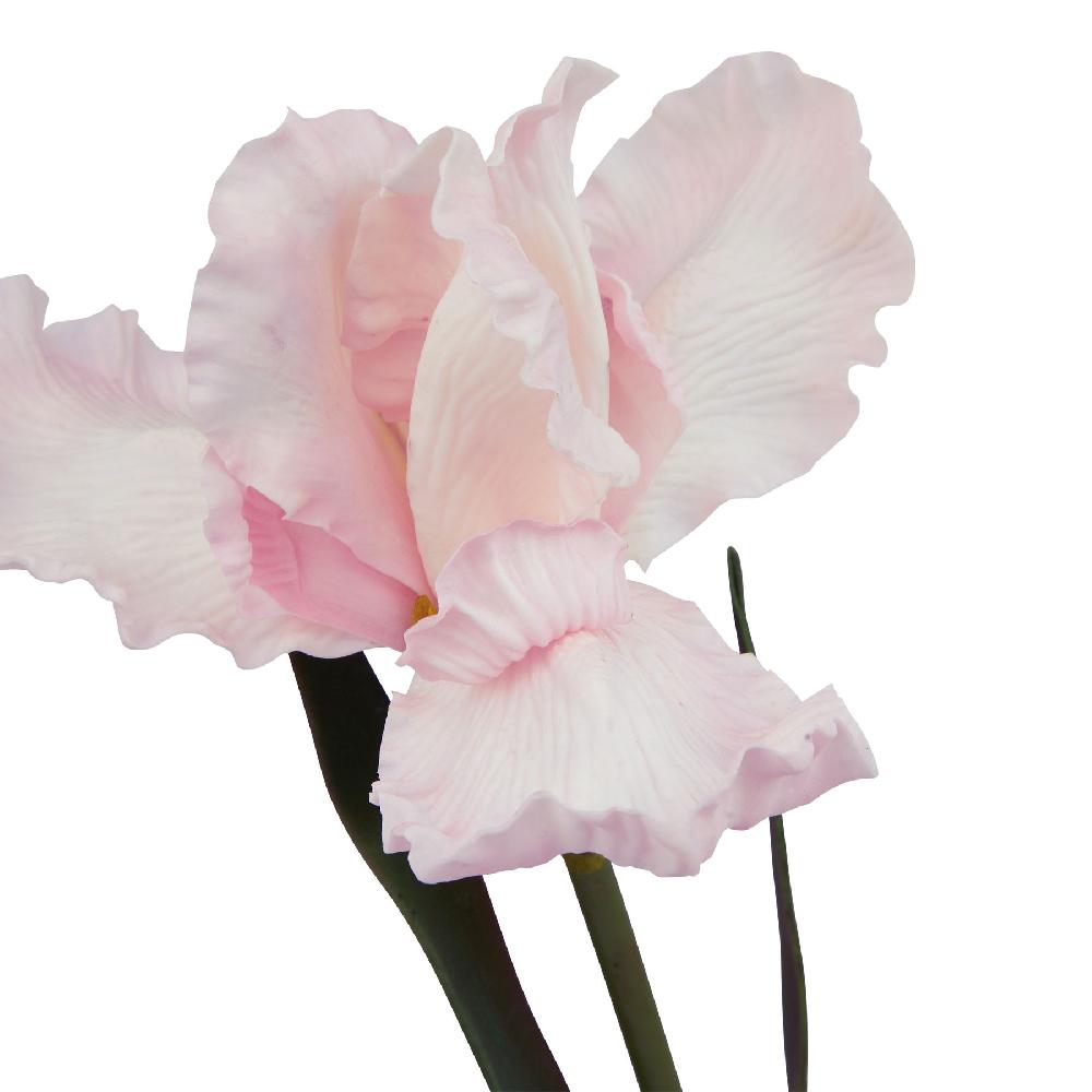 hill interiors The Natural Garden Collection Pale Pink Fringed Iris