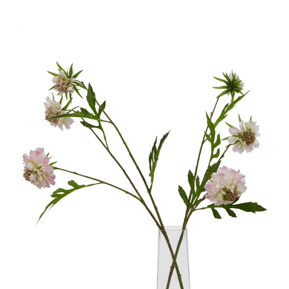 Hill Interiors The Natural Garden Collection Pale Pink Scabious Stem