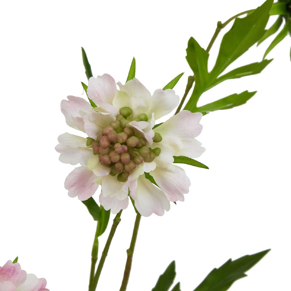 hill interiors The Natural Garden Collection Pale Pink Scabious Stem