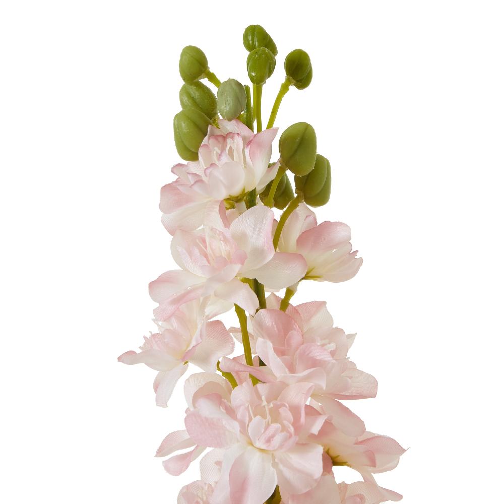hill interiors The Natural Garden Collection Pink Elatum Delphinium