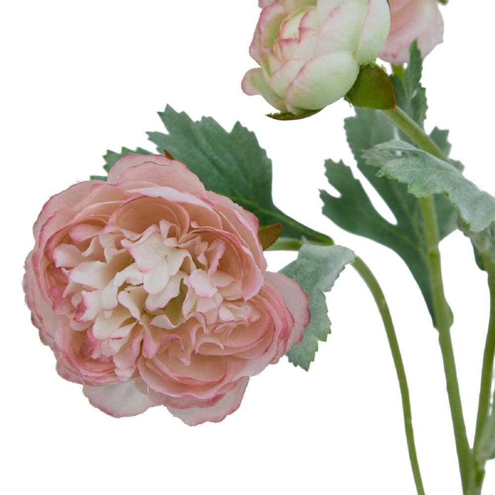 hill interiors The Natural Garden Collection Pink Ranunculus