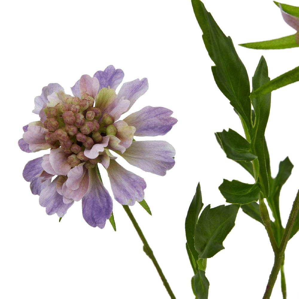 hill interiors The Natural Garden Collection Purple Scabious Stem
